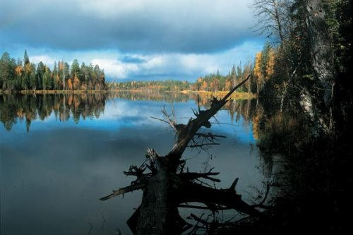 Водлозеро