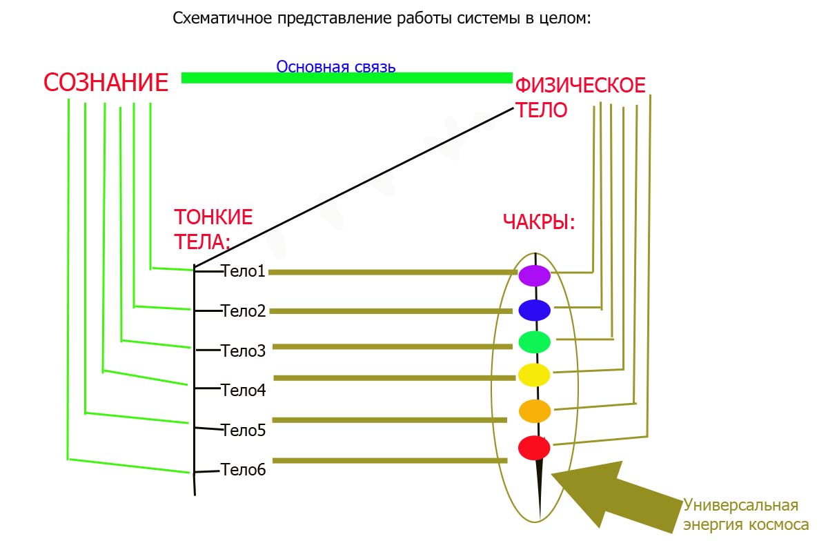 Связь чакр и тела