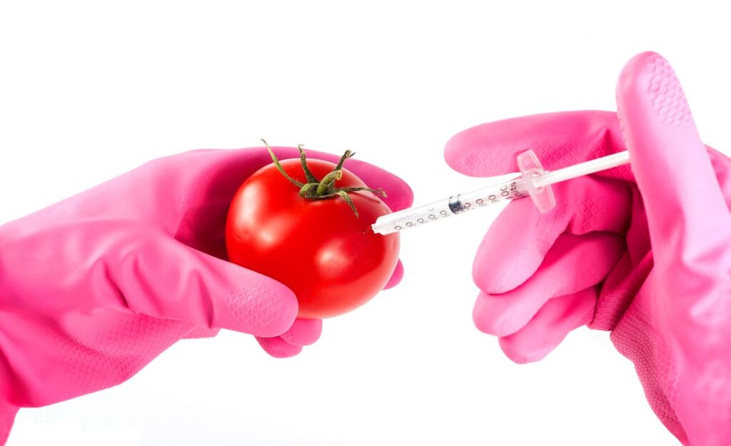 модифицированные продукты генетически модифицированные продукты